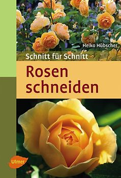 Rosen schneiden