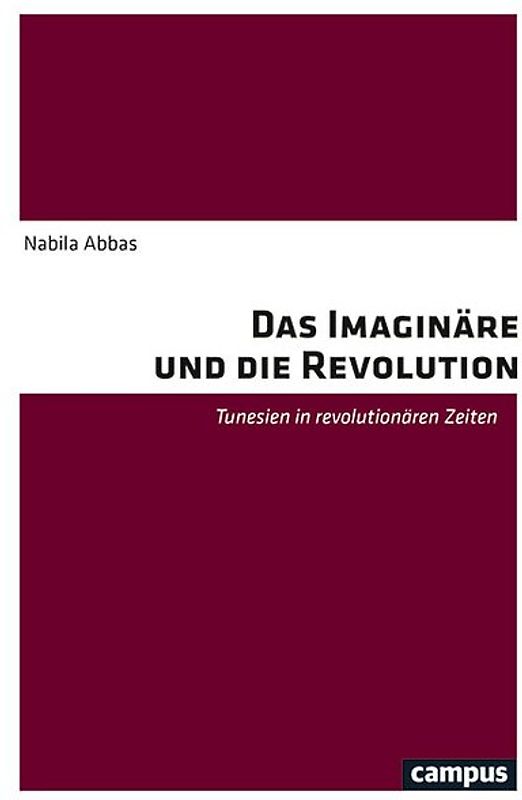 Das Imaginäre und die Revolution