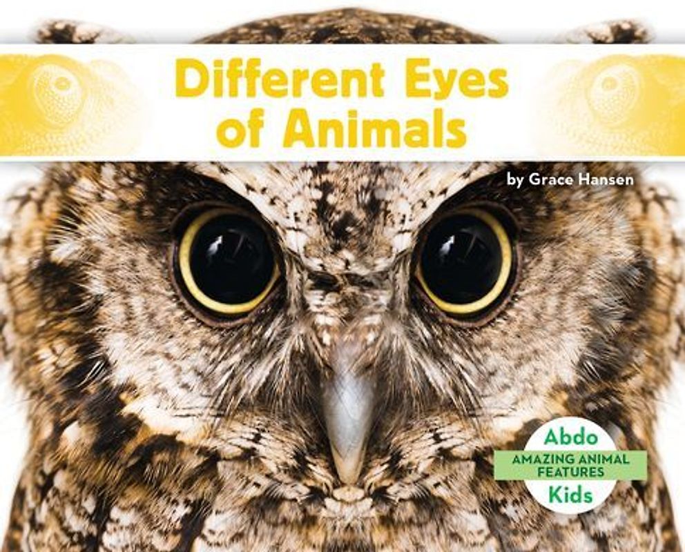 Different Eyes of Animals