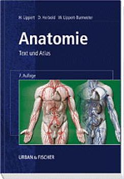 Anatomie