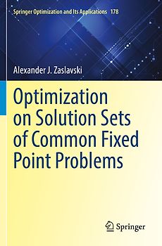 Optimization on Solution Sets of Common Fixed Point Problems