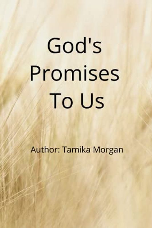 God's Promises To US