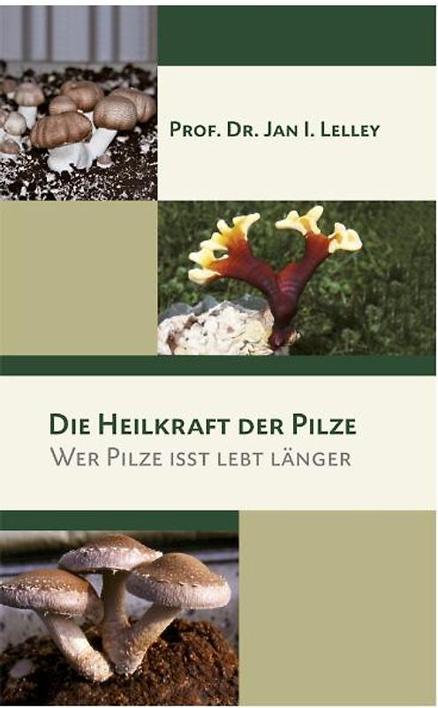 Die Heilkraft der Pilze