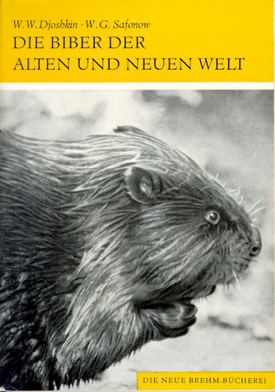 Die Biber der alten und neuen Welt