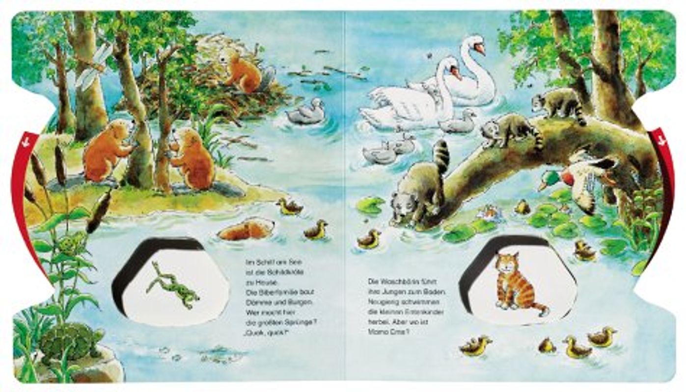 Welches Tier lebt hier?