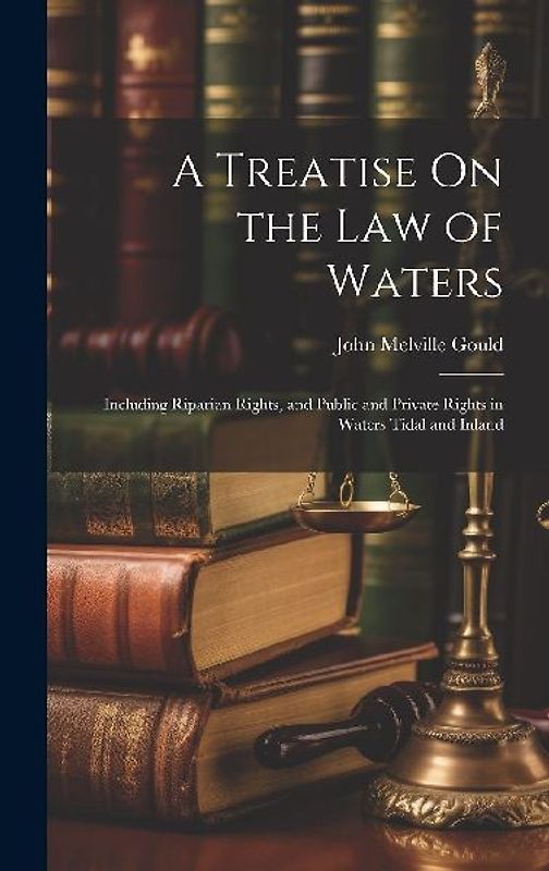 A Treatise On the Law of Waters