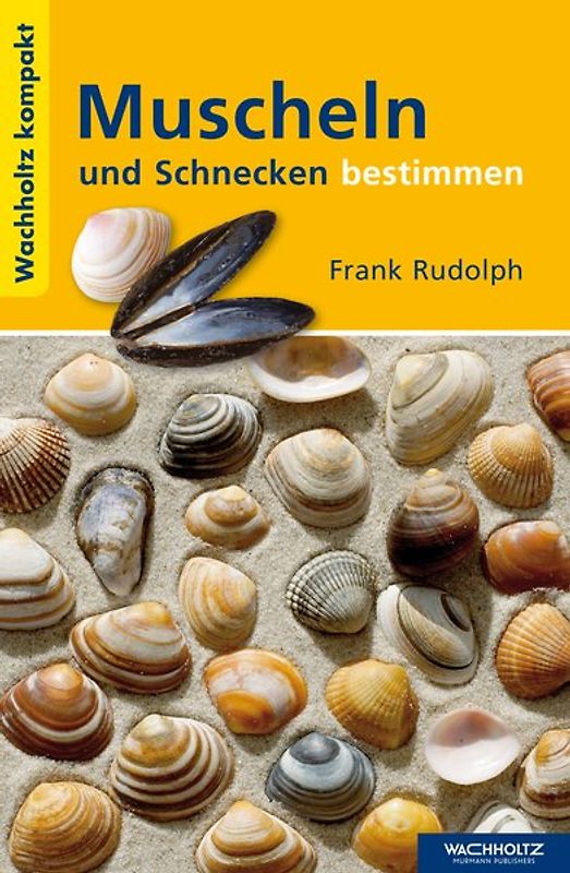 Muscheln und Schnecken bestimmen