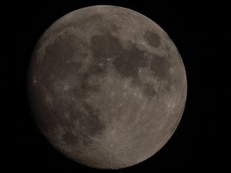 Image client pour Olympus 75-300 mm F4.8-6.7 ED II 58 mm Objectif (adapté à Micro Four Thirds) noir