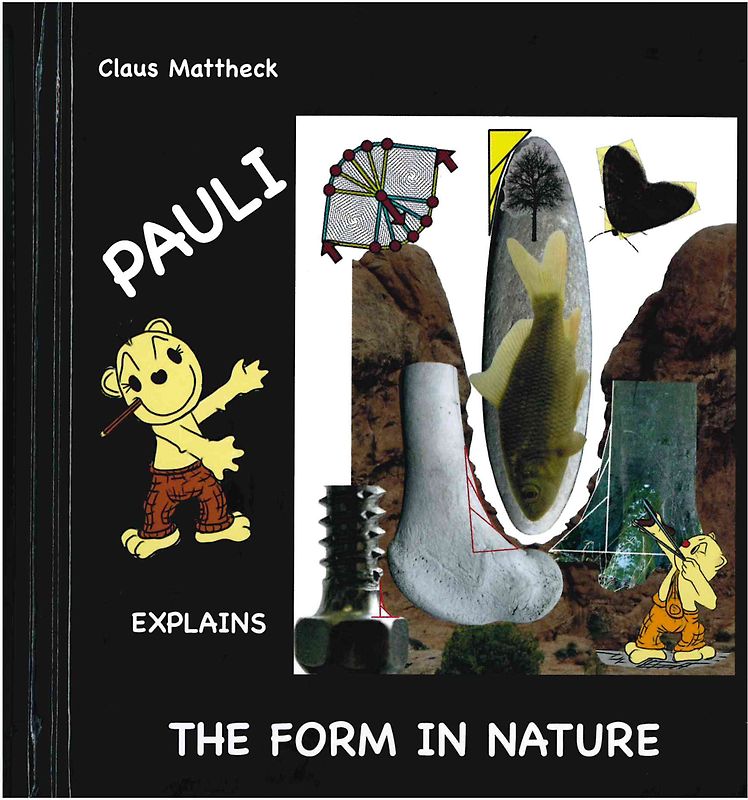 Pauli explains the form in nature