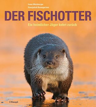 Der Fischotter