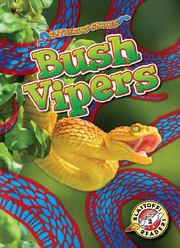 Bush Vipers