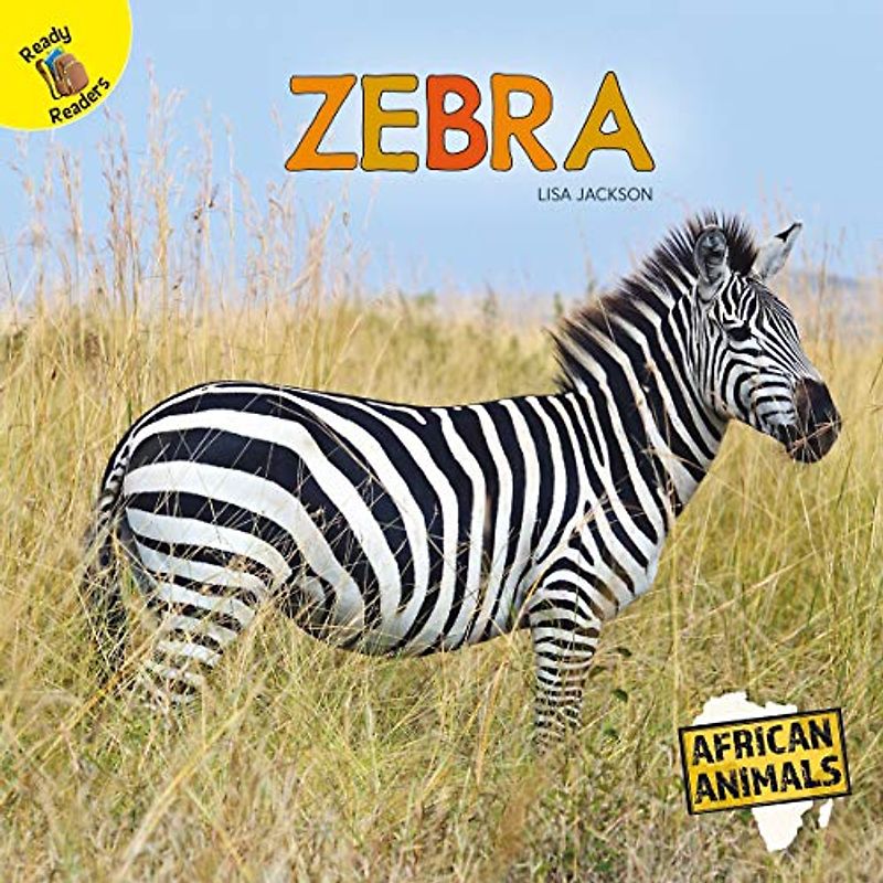 Zebra (African Animals)