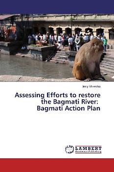 Assessing Efforts to restore the Bagmati River: Bagmati Action Plan