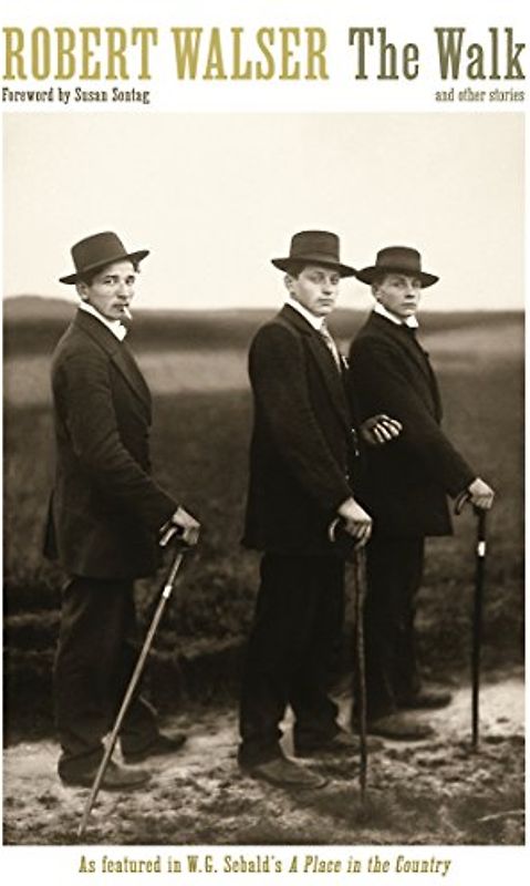 The Walk (Serpent's Tail Classics)