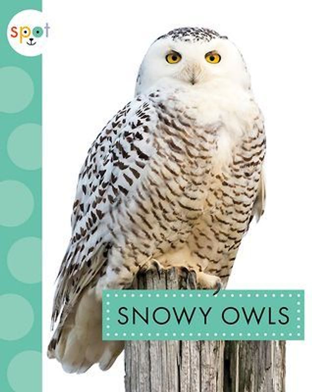 Snowy Owls