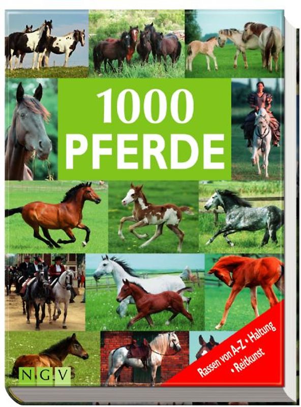 1000 Pferde