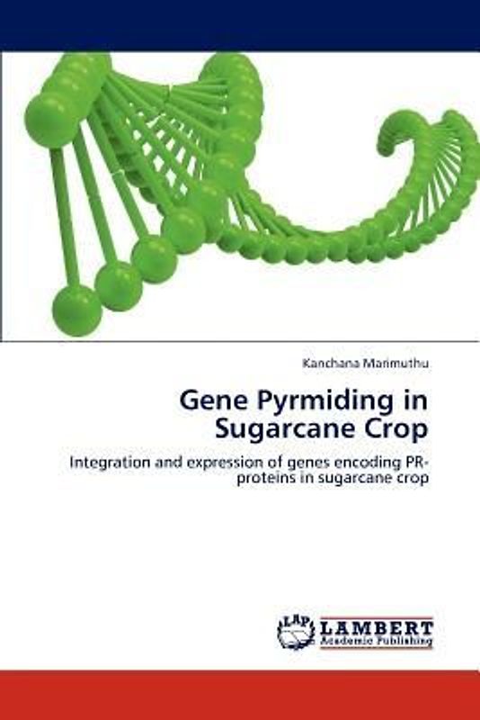 Gene Pyrmiding in Sugarcane Crop