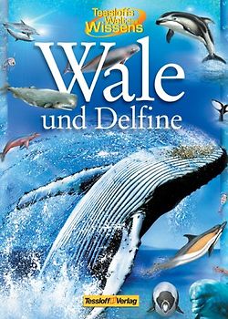 Wale und Delfine