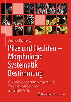 Pilze und Flechten – Morphologie, Systematik, Bestimmung