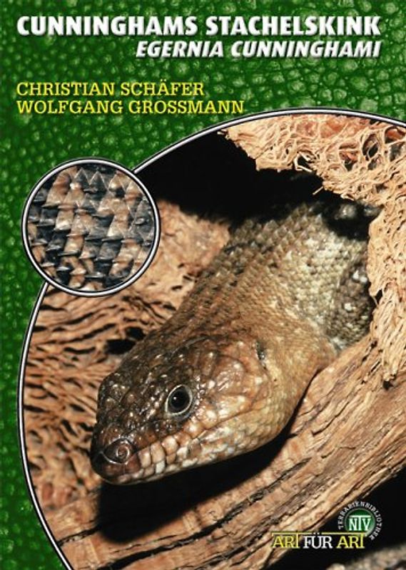 Cunninghams Stachelskink
