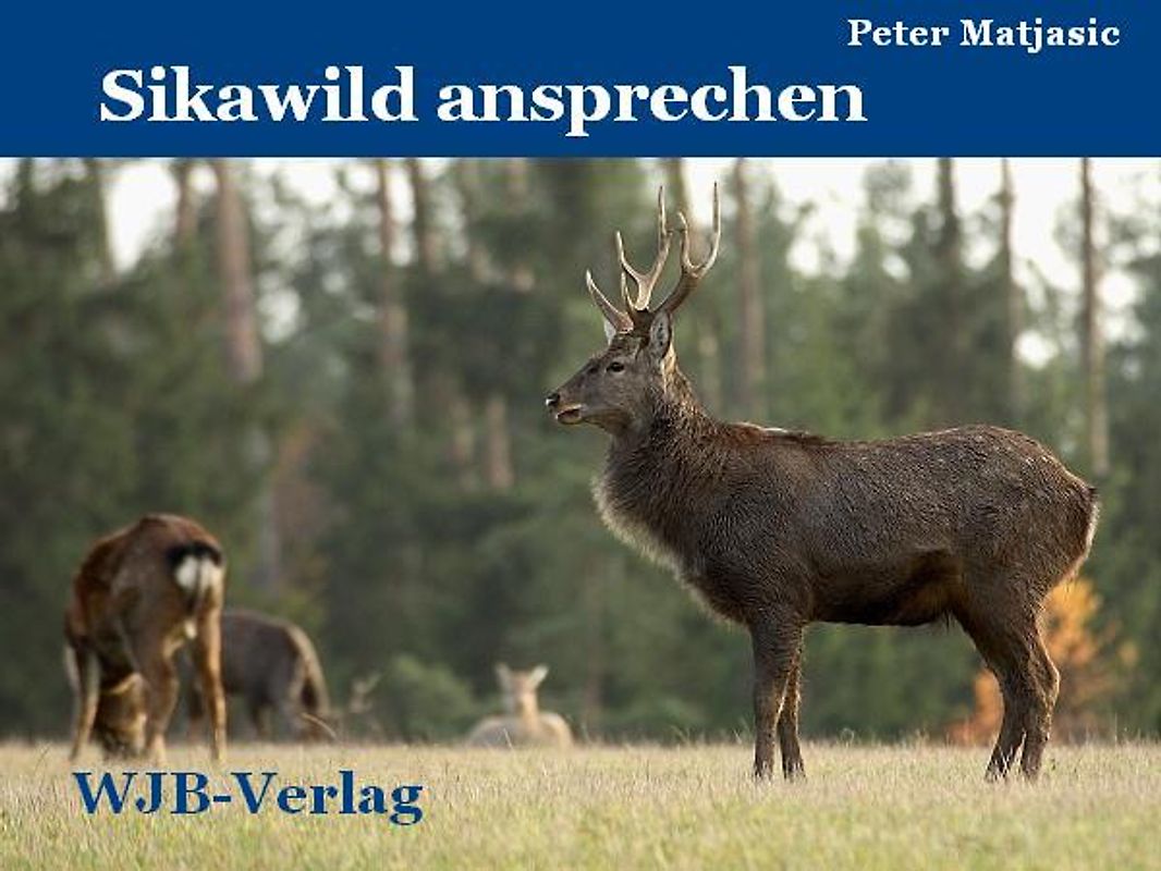 Sikawild ansprechen