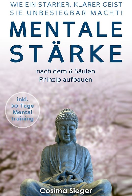 WIE EIN STARKER, KLARER GEIST SIE UNBESIEGBAR MACHT! Mentale Stärke nach dem 6 Säulen Prinzip aufbauen