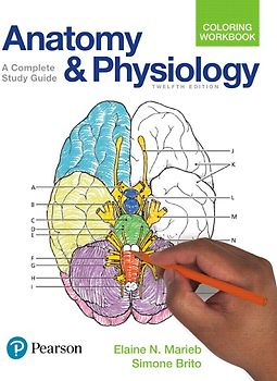 Anatomy and Physiology Coloring Workbook: A Complete Study Guide