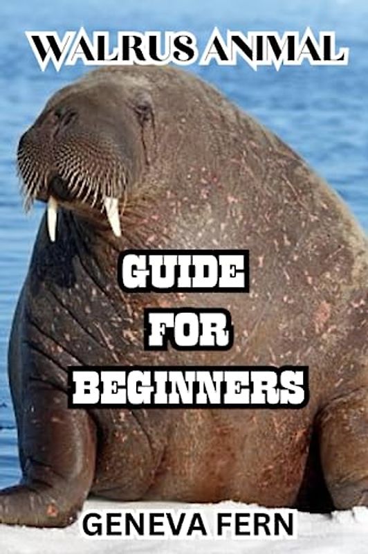 Walrus Animal: Guide for Beginners