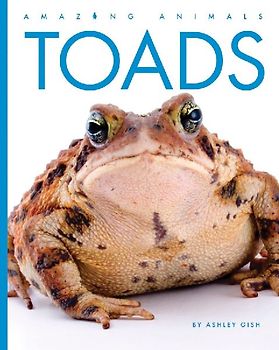 Toads