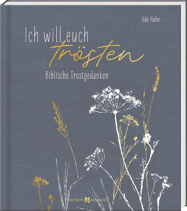 Ich will euch trösten