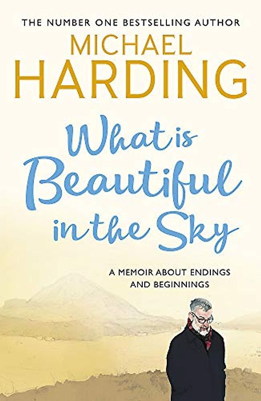 What is Beautiful in the Sky: A book about endings and beginnings