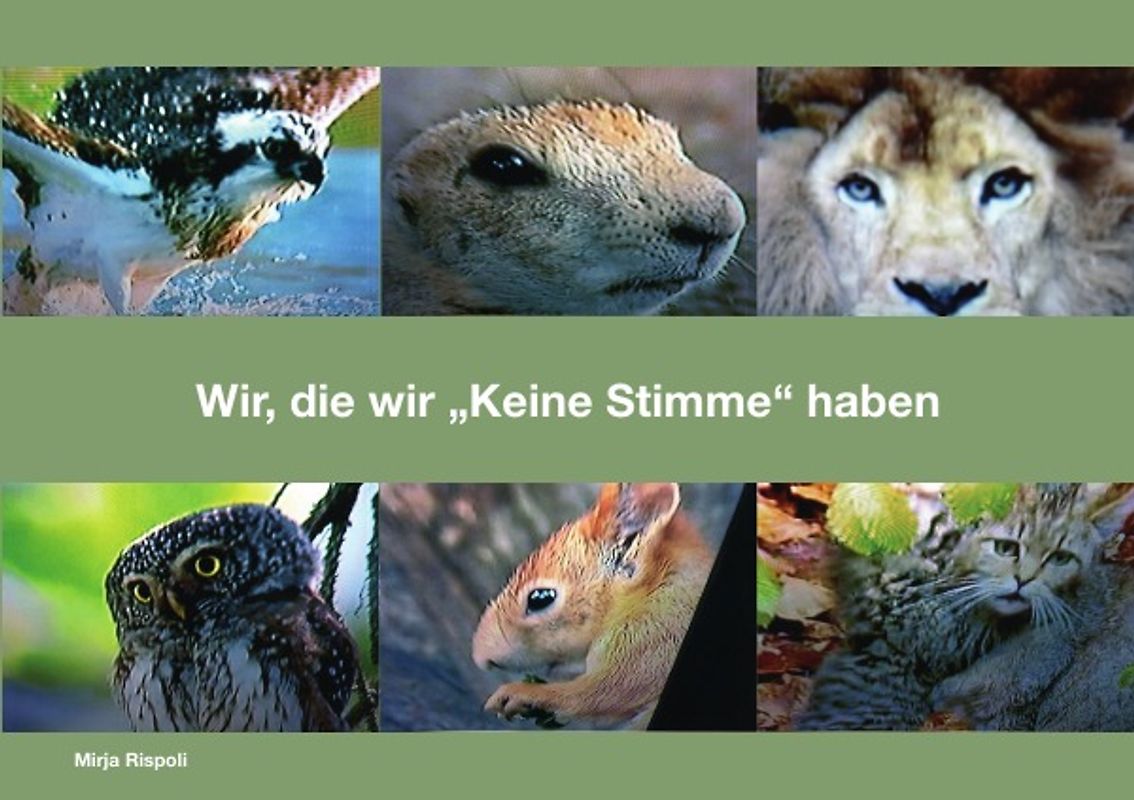 Wir, die wir "Keine Stimme" haben