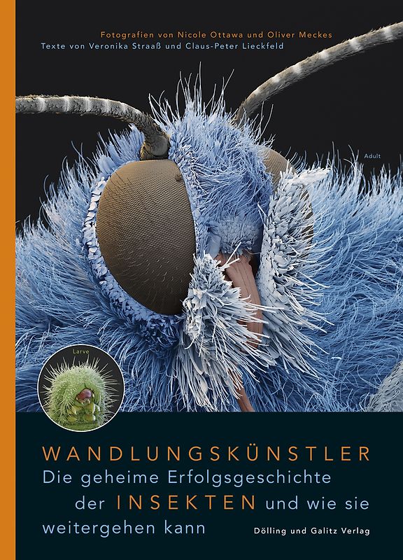 Wandlungskünstler. Die geheime Erfolgsgeschichte der Insekten und wie sie weitergehen kann
