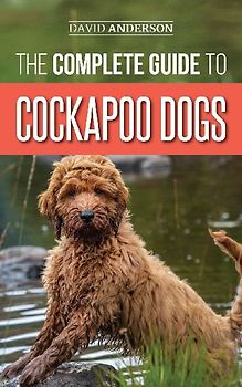 The Complete Guide to Cockapoo Dogs