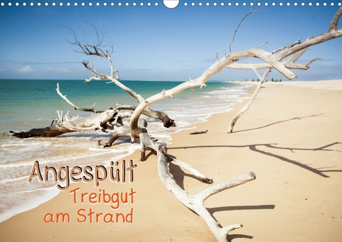 Angespült: Treibgut am Strand (Posterbuch DIN A4 quer)