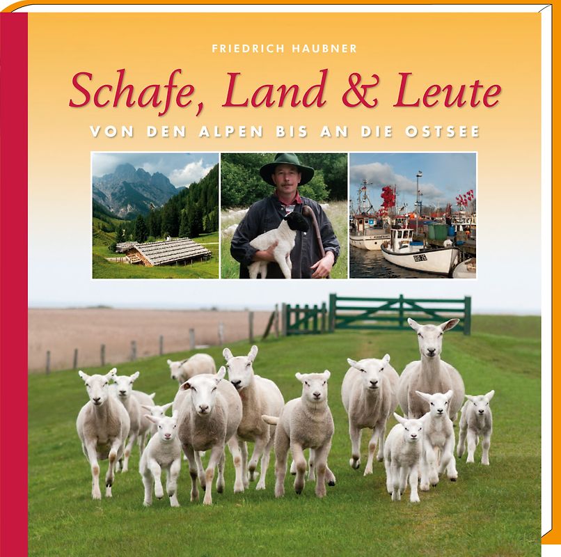 Schafe, Land & Leute