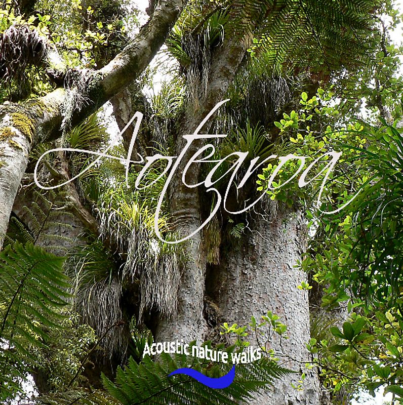 Aotearoa. Acoustic nature walks.