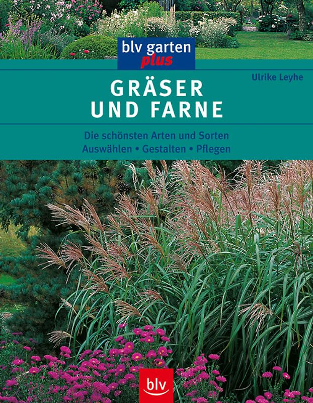 Gräser und Farne