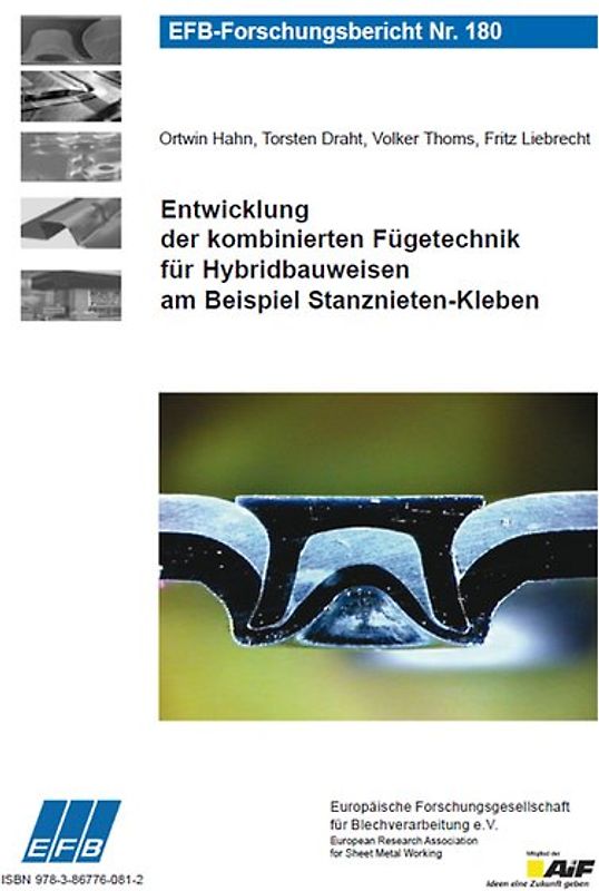Entwicklung der kombinierten Fügetechnik für Hybridbauweisen am Beispiel Stanznieten-Kleben