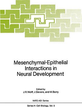 Mesenchymal-Epithelial Interactions in Neural Development
