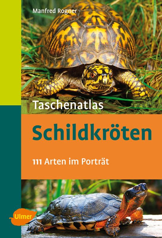 Schildkröten