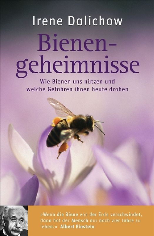 Bienengeheimnisse