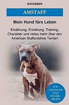 American Staffordshire Terrier: Erziehung, Pflege, Training, Ernährung und einiges mehr über den Amstaff