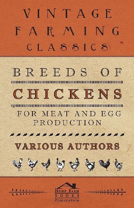 Breeds of Chickens for Meat and Egg Production