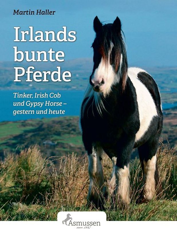Irlands bunte Pferde