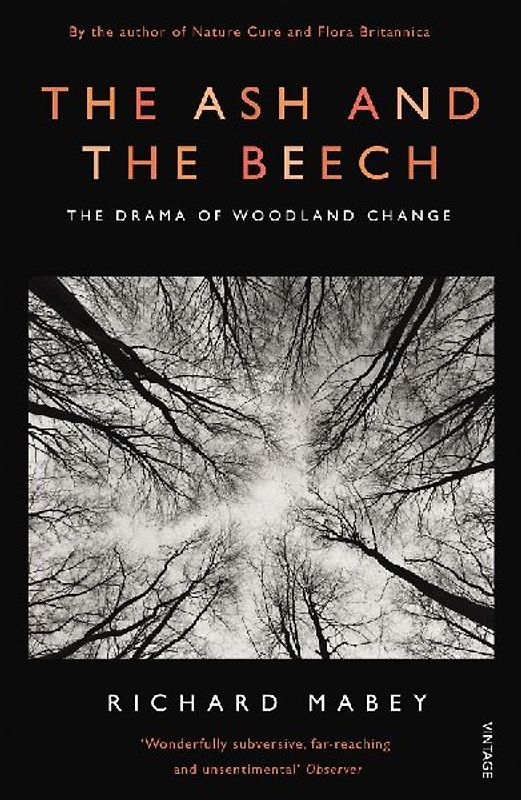 The Ash and The Beech