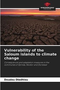 Vulnerability of the Saloum islands to climate change