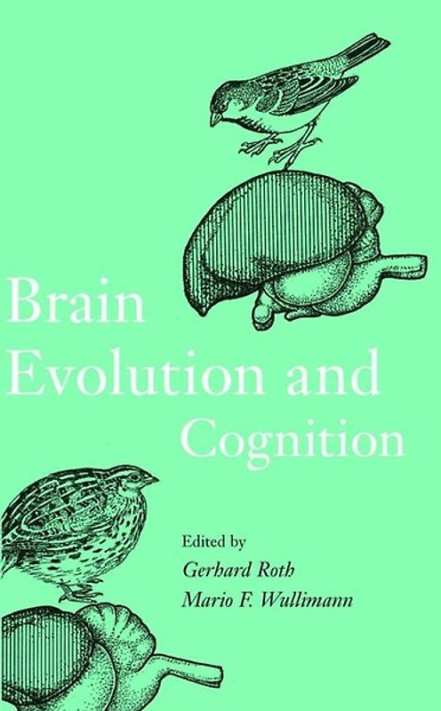 Brain Evolution and Cognition