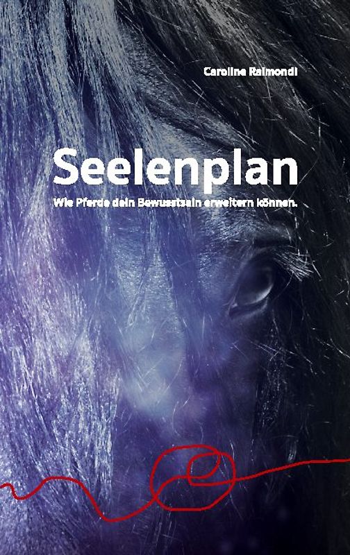 Seelenplan