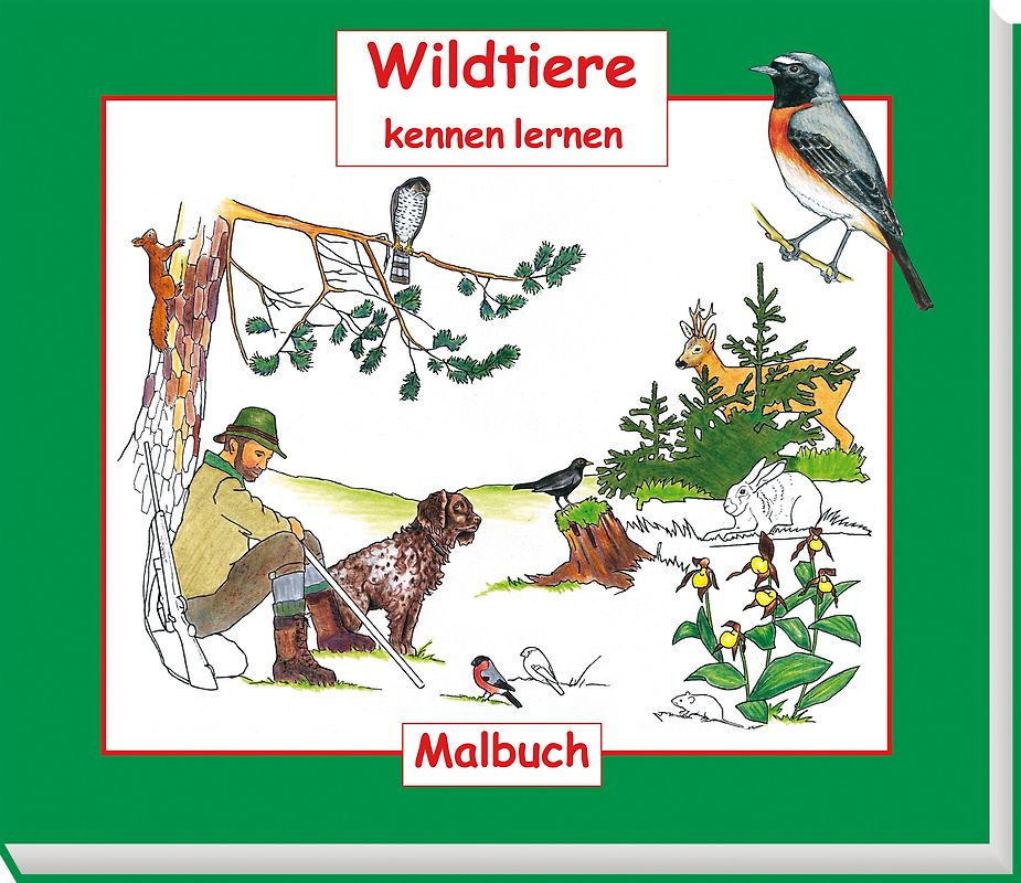 Wildtiere kennen lernen